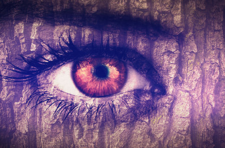 Human eye with glowing red orange iris is blending with purple bark texture in digital art. Mystery,...