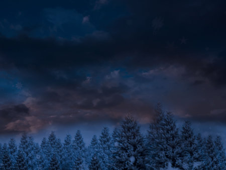 Digitally generated Night sky over forestの写真素材