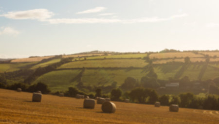 Hay bales on landscape against sunny skyの写真素材