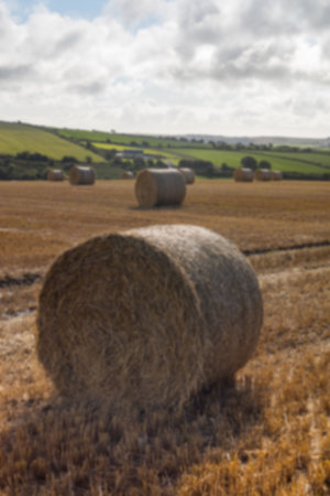 Hay bales on agriculture field against skyの写真素材