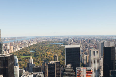 Panoramic aerial scene is showing Manhattan skyline in flat design, featuring Central Park canopy....