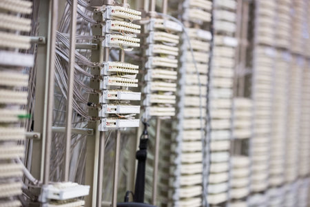 Telecommunications white patch modules are lining flat design panel racks with paired copper wiring. Technology, infrastructure, connectivity, industrial, network, data, serverの写真素材