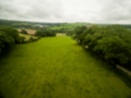 Flat design showing grassy meadow with tree borders, rolling hills under cloudy sky with dirt track. Scenery, landscape, nature, tranquility, outdoor, rural, pastoralの写真素材
