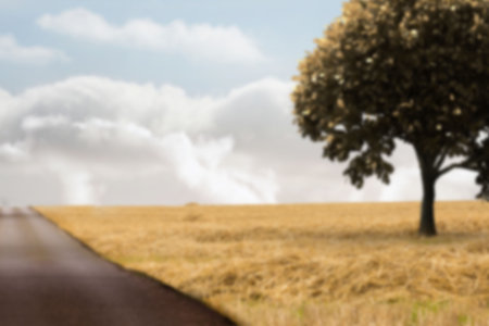 View of tree on field against cloudy skyの写真素材