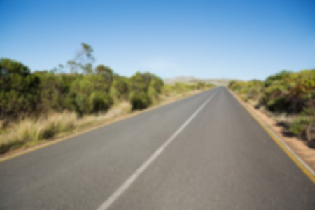 Scenic view of road by trees against clear sky