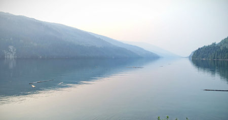 Animation of medical icons and data processing over grid on blue backgroundの写真素材