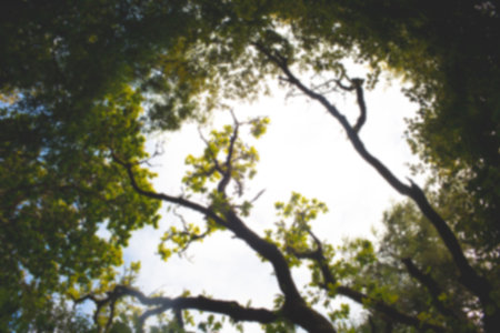 Low angle view of trees growing against clear sky