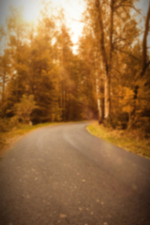 Road by trees during autumnの写真素材