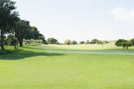 Flat design illustration is showing red golf flag and hole on manicured putting green and fairway. Landscape, outdoor, natural, lush, serene, athletic, leisureの写真素材