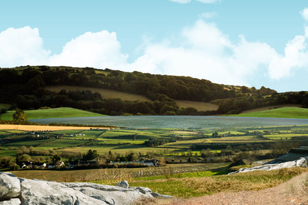 Flat design scene showing hedged farm plots, farmhouses, reservoir, wooded hills, rocky outcrop....