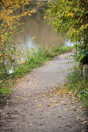 Empty footpath amidst plants by pondの写真素材