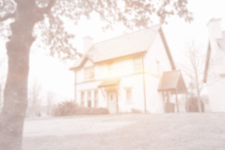 Front of house and garden with bright light