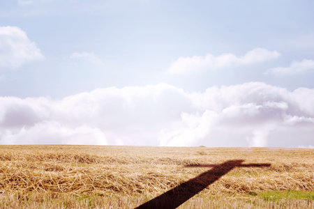 Flat design field is stretching under cloudy sky, showing cross-shaped shadow over golden stubble. Rural, landscape, nature, tranquility, minimalism, serenity, opennessの写真素材