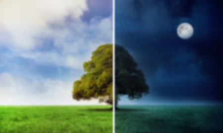 Digitally generated image of tree during day and night against cloudy skyの写真素材