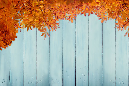 Flat design showing weathered blue wooden planks being topped by vibrant autumn leaves border....