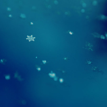 Snowflakes on blue backgroundの写真素材