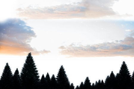 Snow falling on fir tree forest with copy spaceの写真素材