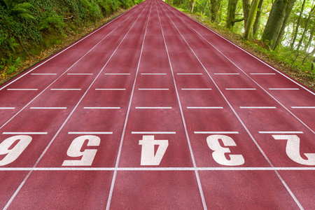 Running track in the nature