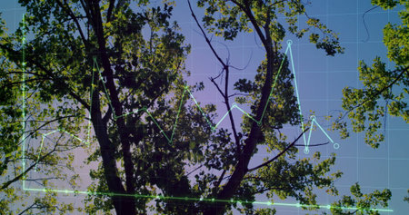 Showing tree canopy spreading overhead in park, with grid overlay and colored line graph markers....