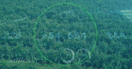 Displaying aerial orchard rows reaching horizon at orchard, showing HUD readouts with rings 58% 32%. Agriculture, drone, monitoring, technology, precision, landscape, sustainabilityの写真素材