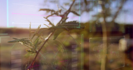 Scanning slender tree branch with compound leaves in rural field, with augmented reality overlays....