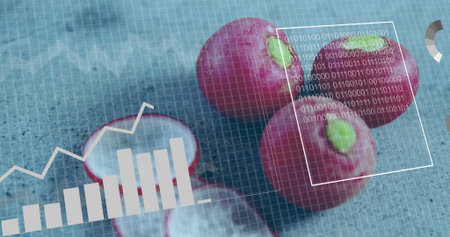 Displaying whole, sliced red radishes projecting overlays on grid mat with bar chart, code, gauge....