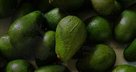 Resting ripe green avocados clustering on pale countertop surface, highlighting pebbled skins. Organic, fresh, produce, culinary, healthy, vibrant, naturalの写真素材