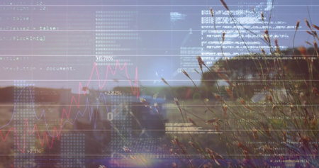 Swaying tall grass seed heads beside rural road, with code and line graph overlay, copy space. Nature, digital, technology, landscape, data visualization, tranquility, ruralの写真素材