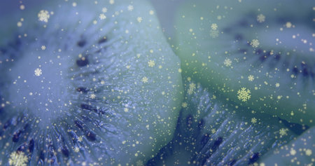 Displaying macro kiwi fruit slice showing blue-green pulp texture in studio, with snowflake icons. Abstract, macro, nature, festive, vibrant, intricate, winterの写真素材