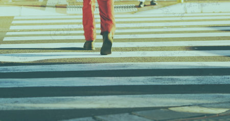 Stepping adult pedestrian in red pants and dark shoes crossing street, with zebra-striped crosswalk. Urban, street, fashion, footwear, pedestrian, outdoor, minimalistの写真素材