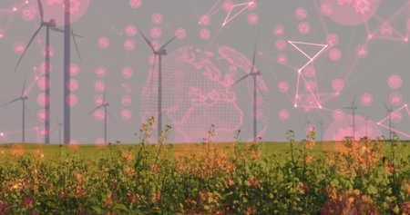 Displaying wind turbines rising over yellow field in countryside, with digital network overlay. Renewable, sustainability, technology, modern, eco-friendly, innovation, connectivityの写真素材