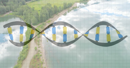 Hovering stylized DNA helix twisting above aerial forest peninsula and calm lake, with grid overlay. Biology, genetics, innovation, scientific, educational, research, molecularの写真素材