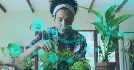 Watering woman in plaid shirt holding sprayer among potted herbs in kitchen, with digital overlay....