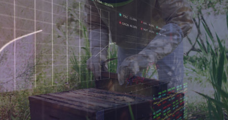 Inspecting senior beekeeper lifting frame from hive box in garden with gloves, stock-ticker overlay. Apiculture, sustainability, technology, outdoor, lifestyle, nature, innovationの写真素材