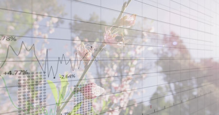 Merging double-exposure pink blossom branch with grid dots and line graph in orchard, percentages. Flora, analytics, harmony, growth, financial, nature, modernの写真素材