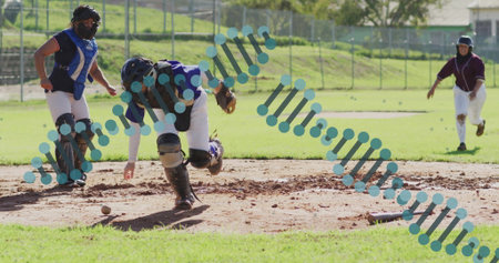 Bending catcher wearing gear picking up loose softball on dirt infield, with catcher's mitt. Sports,...