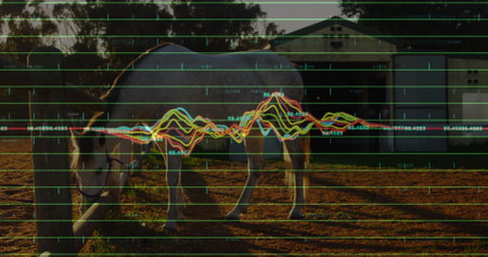 Grazing gray horse in paddock with barn, trees, overlaid green grid and waveform labels. Equine,...