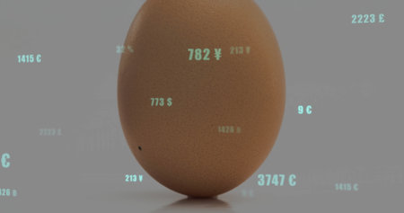 Standing brown egg reflecting on smooth gray studio surface, drifting yen cent pound numeric values....