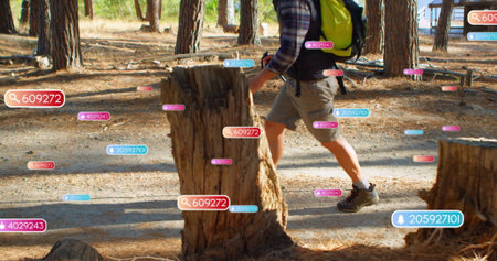 Hiker wearing green backpack navigating pine forest clearing, with numeric tags on stumps and bike....