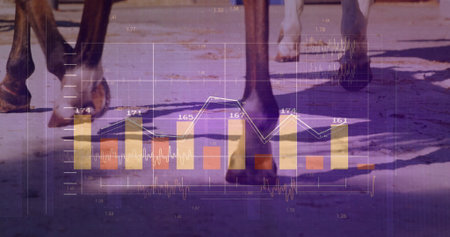 Galloping horse hooves and lower legs moving over dusty paddock, showing bar charts and line graph....