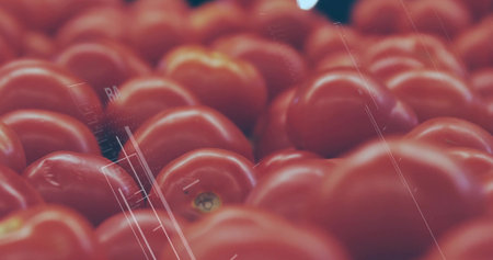 Pile of ripe red tomatoes gleaming on produce display in supermarket, with water droplets. Fresh produce, agriculture, farm, organic, vibrant, healthy, naturalの写真素材