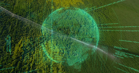 Hovering holographic data sphere above high-altitude forest canopy, with streaming computer code. Technology, innovation, data visualization, digital environment, nature integrationの写真素材