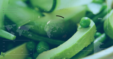 Displaying central pale green vegetable slice balancing bright green pea in stylized data dashboard. Organic, health, digital, innovation, visualization, analytics, sustainabilityの写真素材
