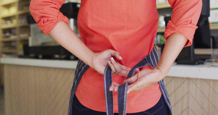 Woman tying striped apron behind back at cafe counter, featuring coffee machine terminal shelves. Hospitality, cafe, foodservice, beverage, customer service, workstation, commercialの写真素材