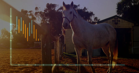 White horse wearing halter and rope by fence post in ranch barnyard, digital graph overlay. Pastoral, equine, rustic, countryside, digital, outdoor, sunsetの写真素材