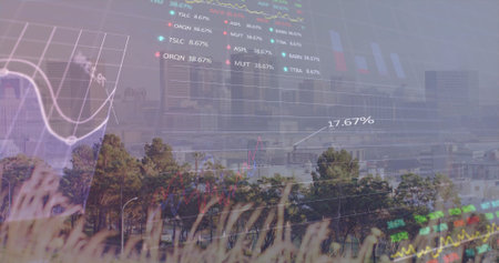 Overlaying grasses and skyline with subtle line charts, bar graphs, 17.67% data at urban fringe. Urban, financial, data, landscape, visualization, investment, modernの写真素材