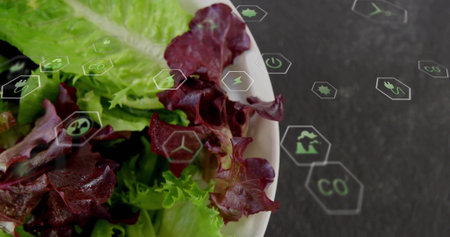 Showcasing white bowl of red and green lettuce in kitchen, with floating eco icons, copy space. Healthy, organic, eco-friendly, sustainable, digital, modern, agricultureの写真素材
