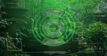 Bonsai tree sitting in rectangular pot on wooden table in backyard garden. Nature, tranquility, greenery, outdoor, serenityの写真素材