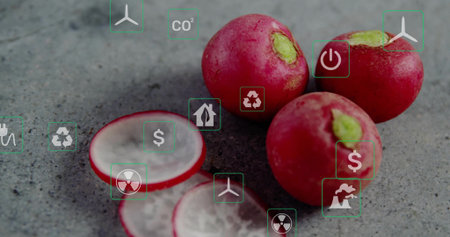 Displaying red radishes and slices on kitchen counter. Healthy eating, plant-based, organic, sustainability, eco-friendly, modern design, energy conservationの写真素材