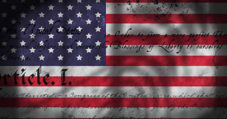 Showing weathered American flag with constitutional script overlay and tree-branch shadows....